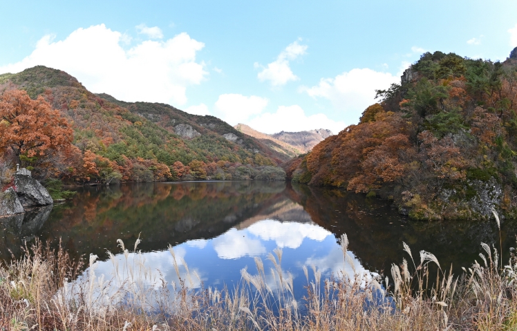 사계절 머무는 힐링도시 청송!